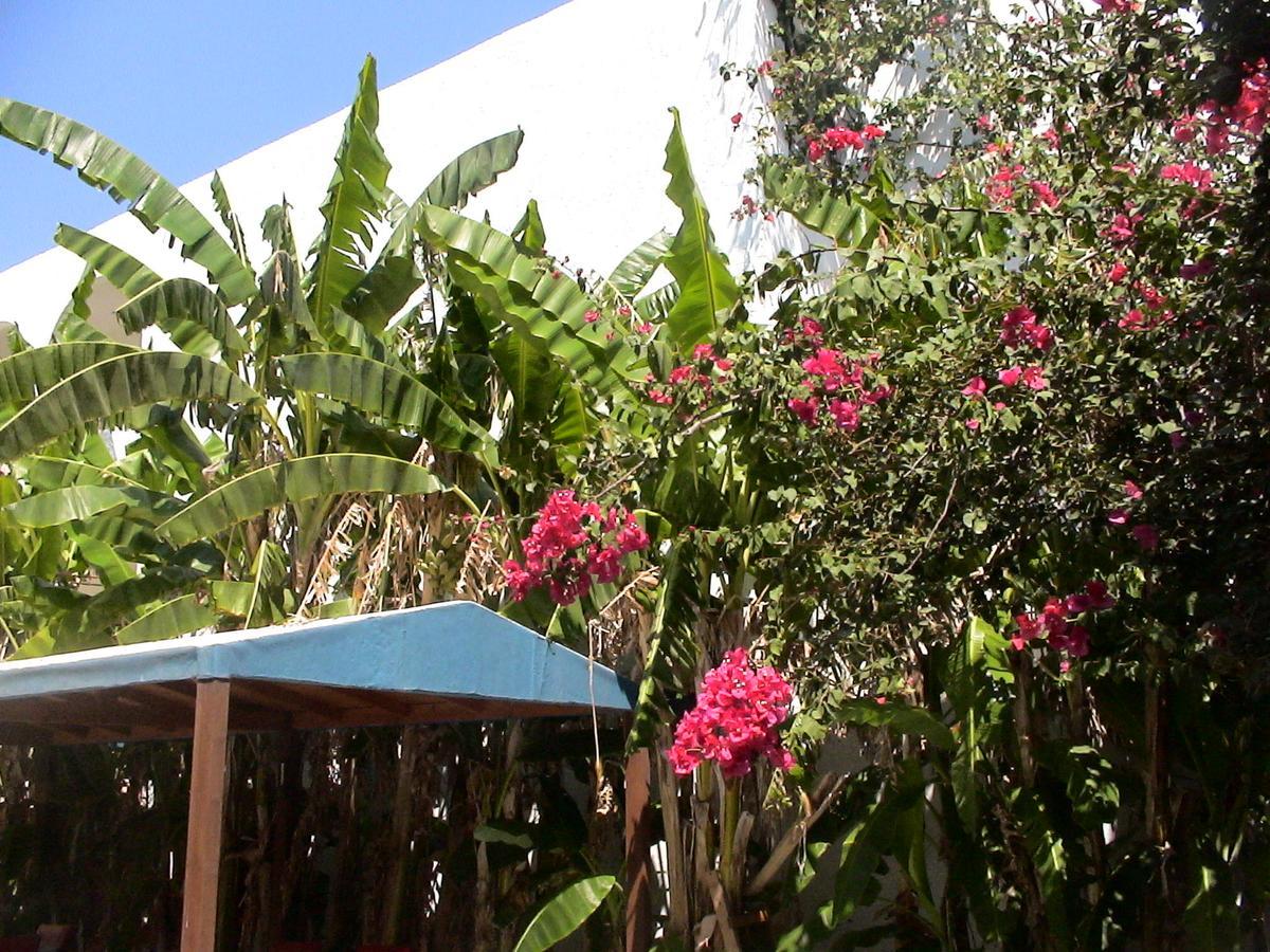 Sea Breeze Hotel Mastihari Exterior foto
